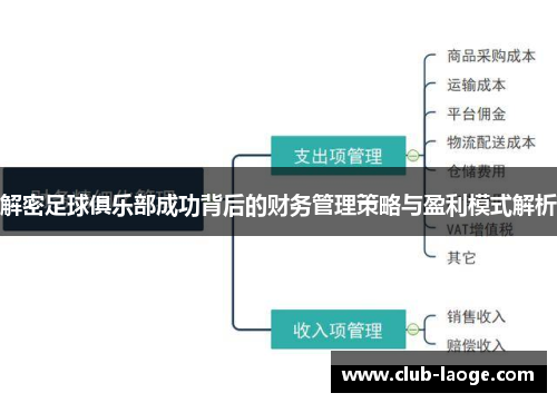 解密足球俱乐部成功背后的财务管理策略与盈利模式解析 解密足球俱乐部成功背后的财务管理策略与盈利模式解析