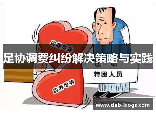 足协调费纠纷解决策略与实践
