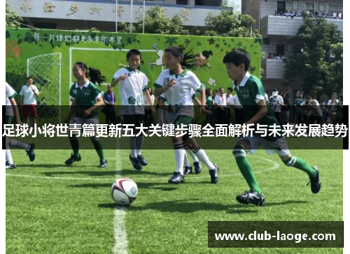 足球小将世青篇更新五大关键步骤全面解析与未来发展趋势