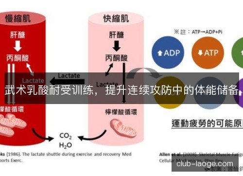 武术乳酸耐受训练，提升连续攻防中的体能储备